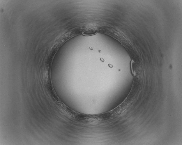 X0000076400697200610271618