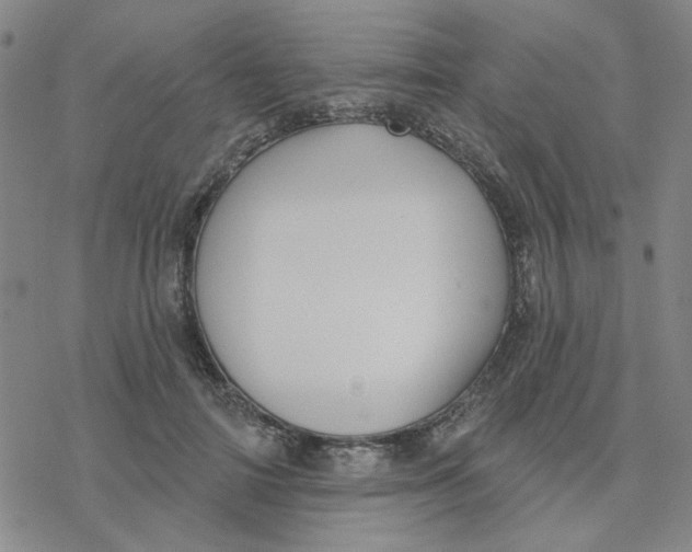 X0000076400698200610271618