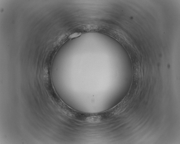 X0000076400700200610271618