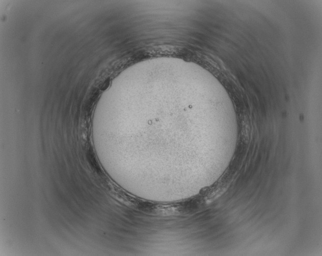 X0000076400701200610271618