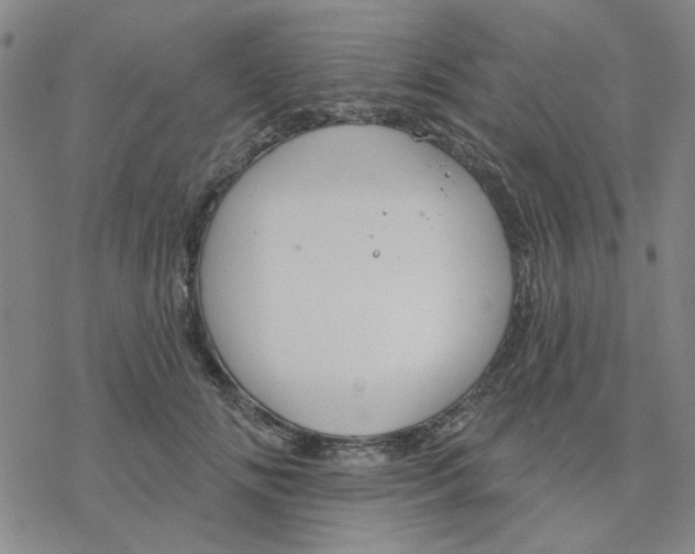 X0000076400702200610271618