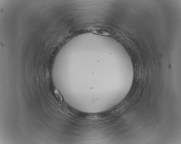 X0000076400704200610271618