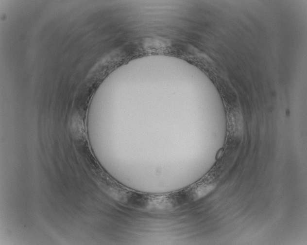 X0000076400705200610271618