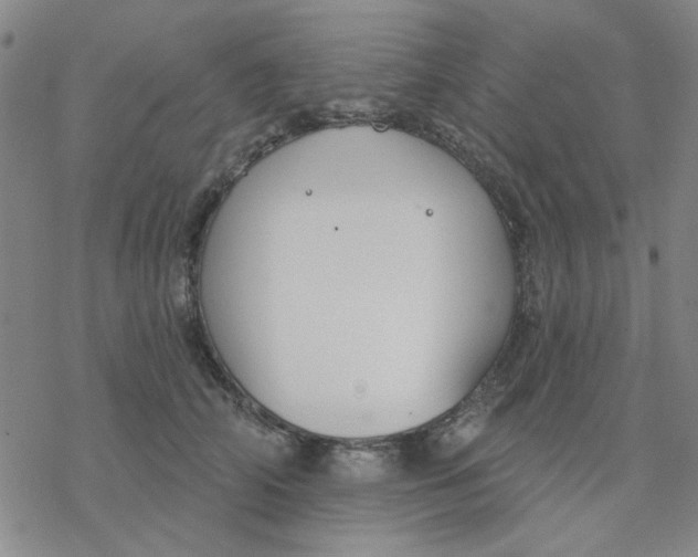 X0000076400706200610271618