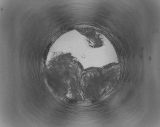 X0000076400707200610271618