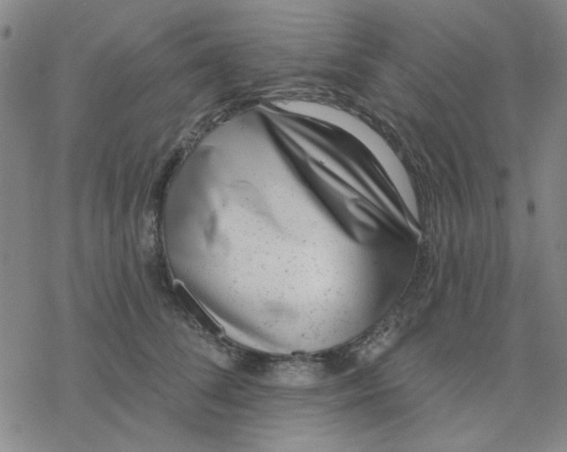 X0000076400708200610271618