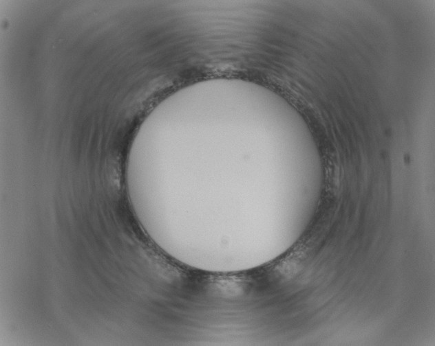 X0000076400710200610271618