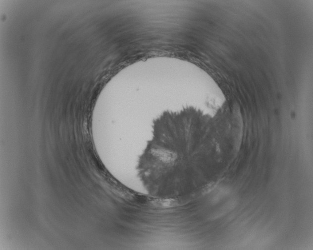 X0000076400711200610271618