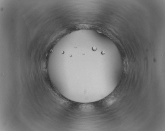 X0000076400714200610271618