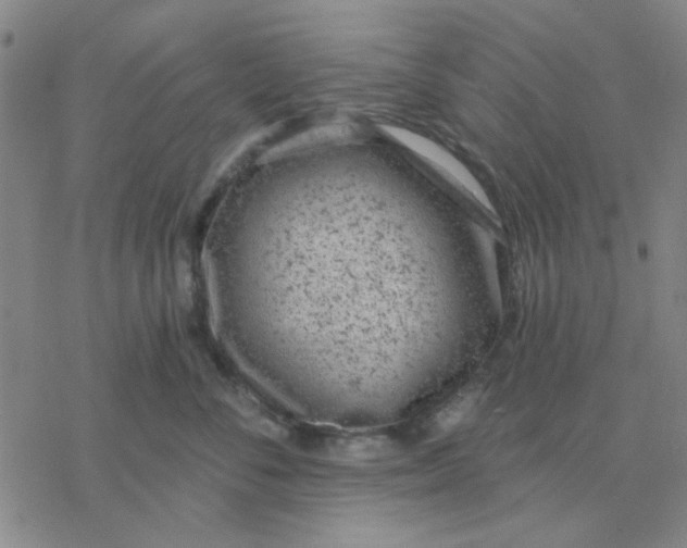 X0000076400716200610271618