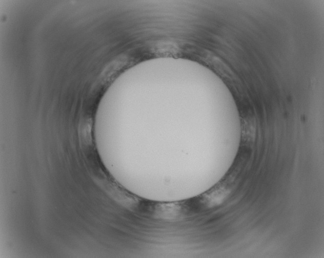 X0000076400717200610271618