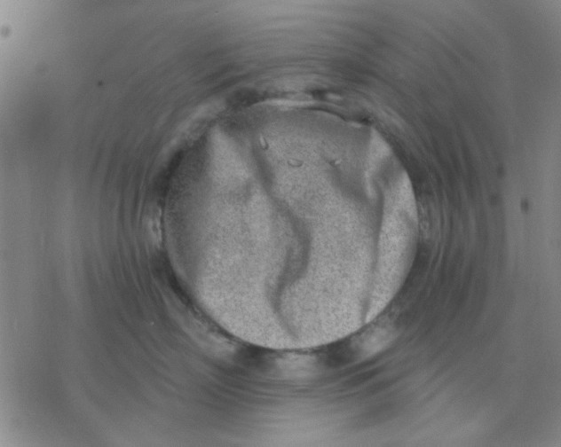 X0000076400718200610271618