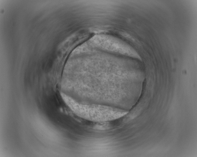 X0000076400720200610271618