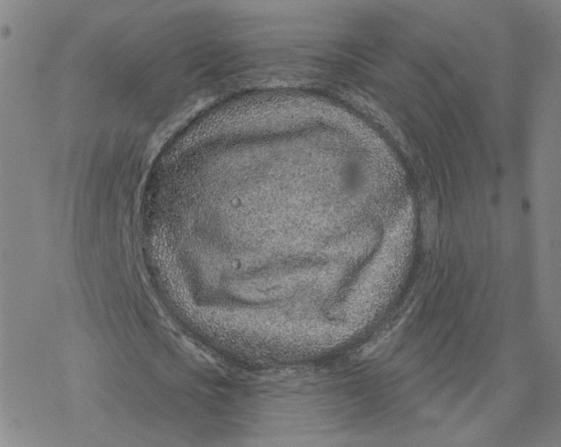 X0000076400721200610271617