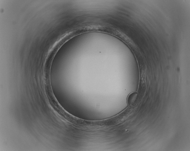 X0000076400722200610271617