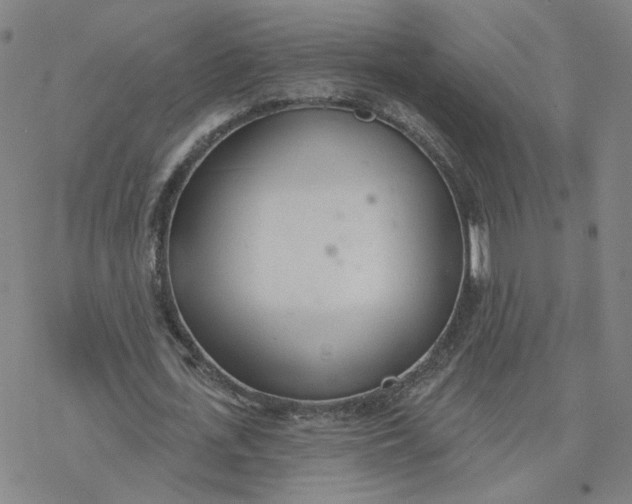 X0000076400723200610271617