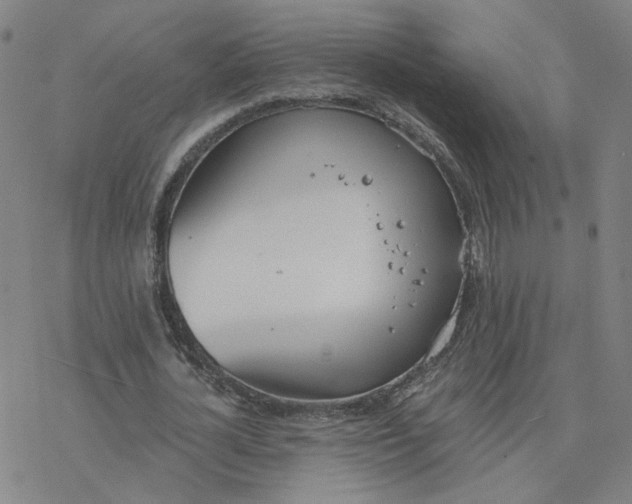 X0000076400724200610271617