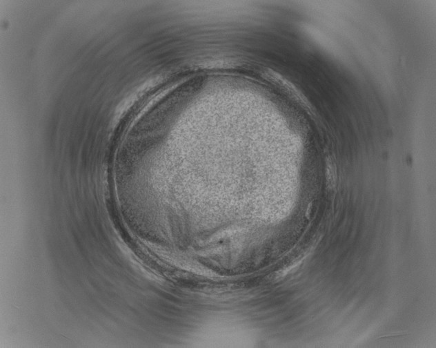 X0000076400725200610271617