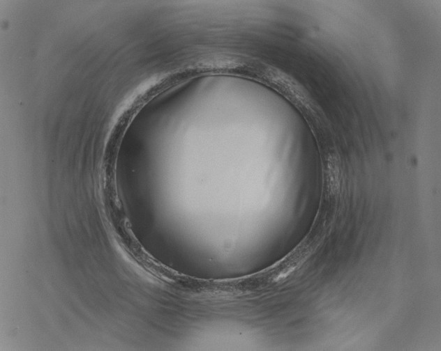 X0000076400726200610271617