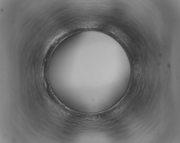 X0000076400727200610271617