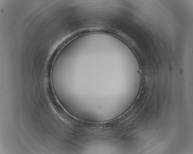 X0000076400728200610271617