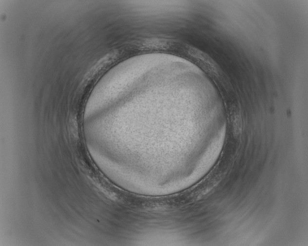 X0000076400729200610271617