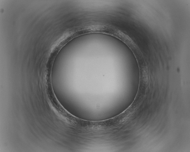 X0000076400730200610271617