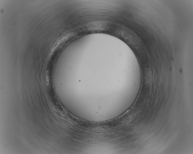 X0000076400731200610271617