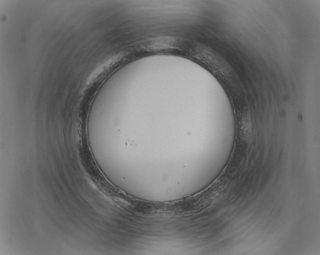 X0000076400732200610271617