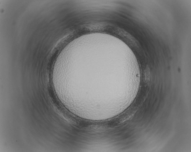 X0000076400733200610271617