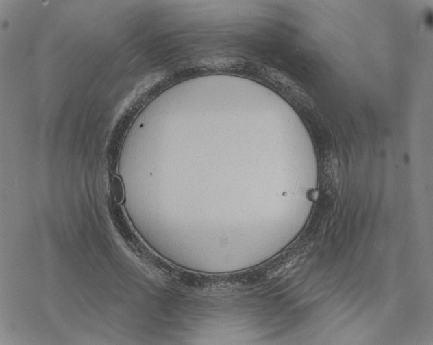 X0000076400734200610271617