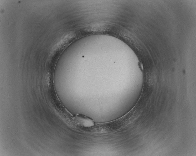 X0000076400735200610271617