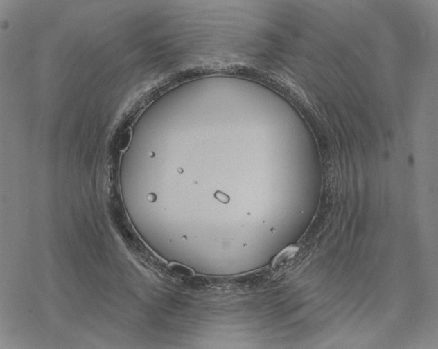 X0000076400736200610271617