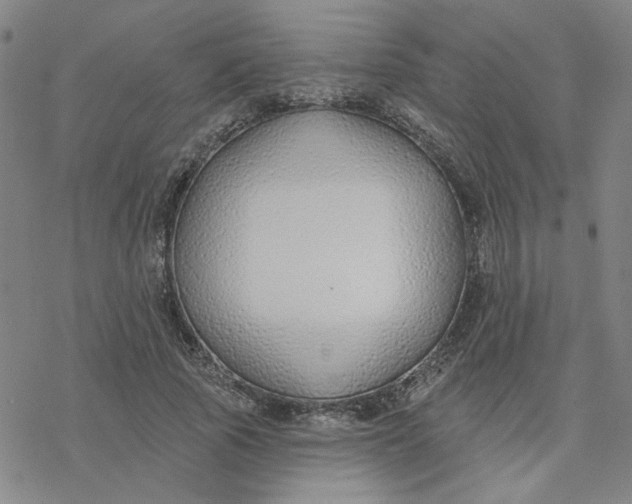 X0000076400737200610271617