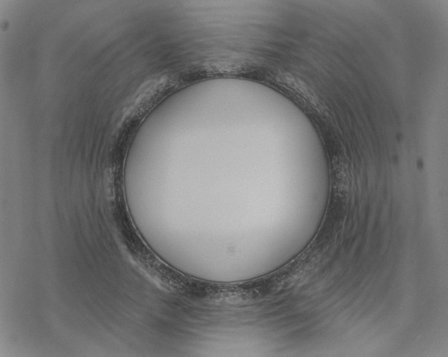 X0000076400738200610271617