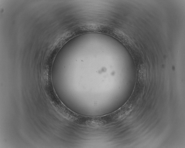 X0000076400739200610271617