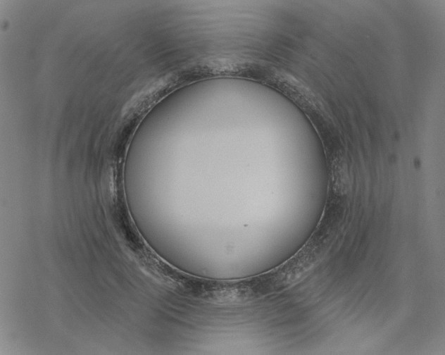 X0000076400740200610271617