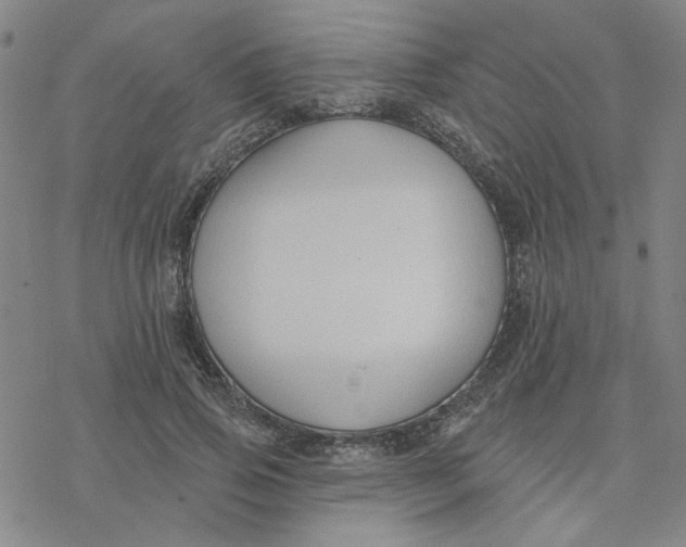 X0000076400741200610271617