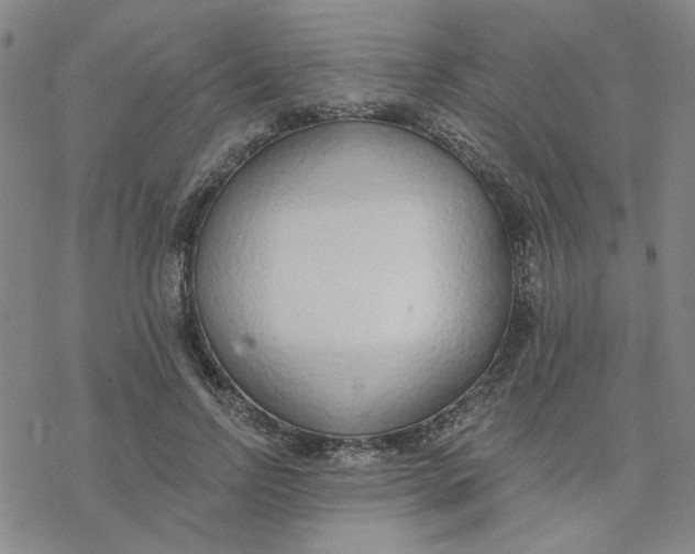 X0000076400742200610271617