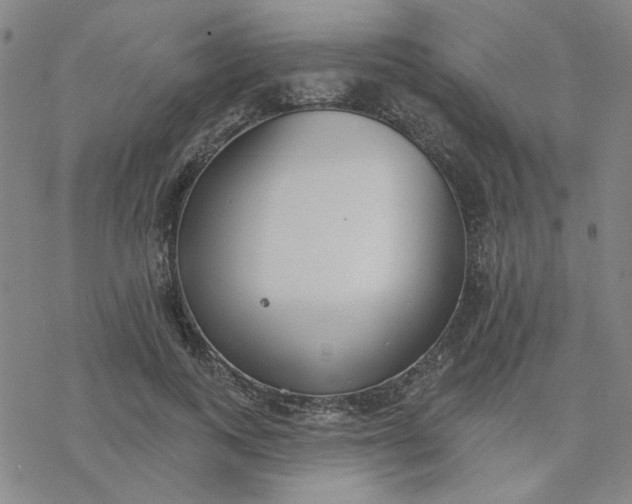 X0000076400743200610271617