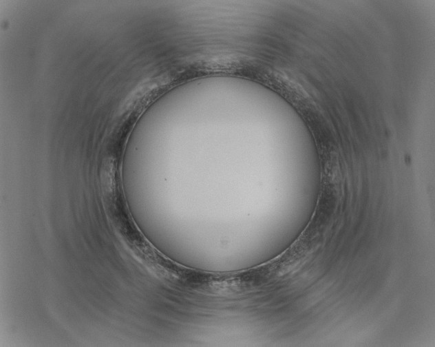 X0000076400744200610271617