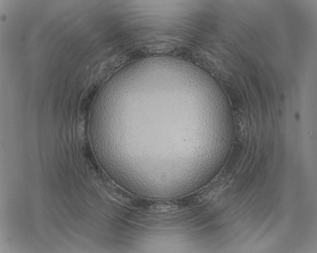 X0000076400745200610271617