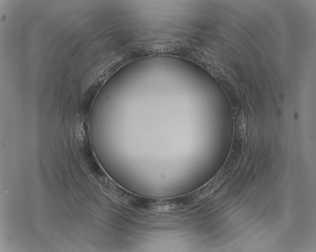 X0000076400746200610271617