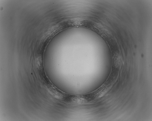 X0000076400747200610271617