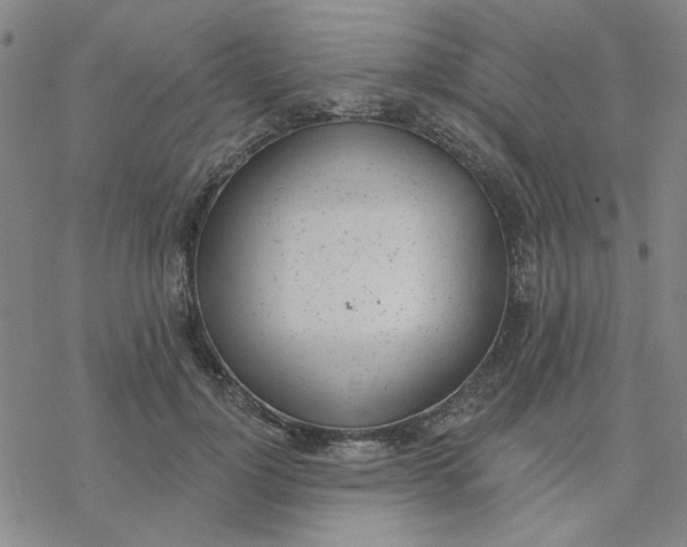 X0000076400748200610271617