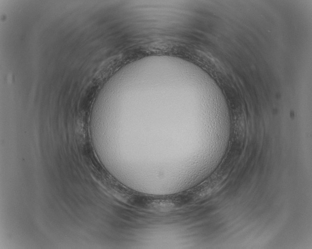 X0000076400749200610271617