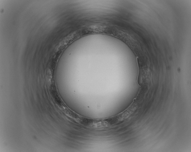 X0000076400752200610271618