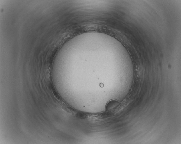 X0000076400753200610271618