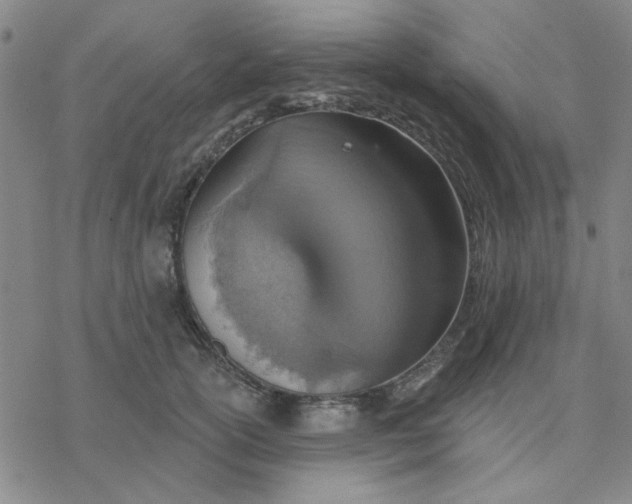 X0000076400754200610271618