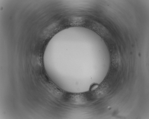 X0000076400755200610271618